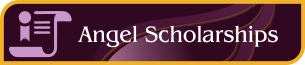 Sunshine Angels Programs - Angel Scholarships